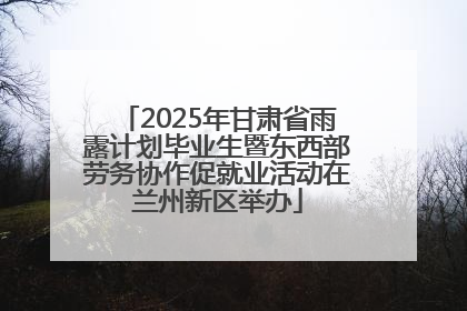2025年甘肃省雨露计划毕业生暨东西部劳务协作促就业活动在兰州新区举办